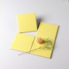 SW1010yellow