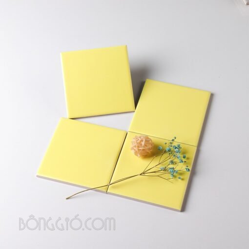Gạch thẻ subway 10x20cm ốp tường - Hình ảnh 10