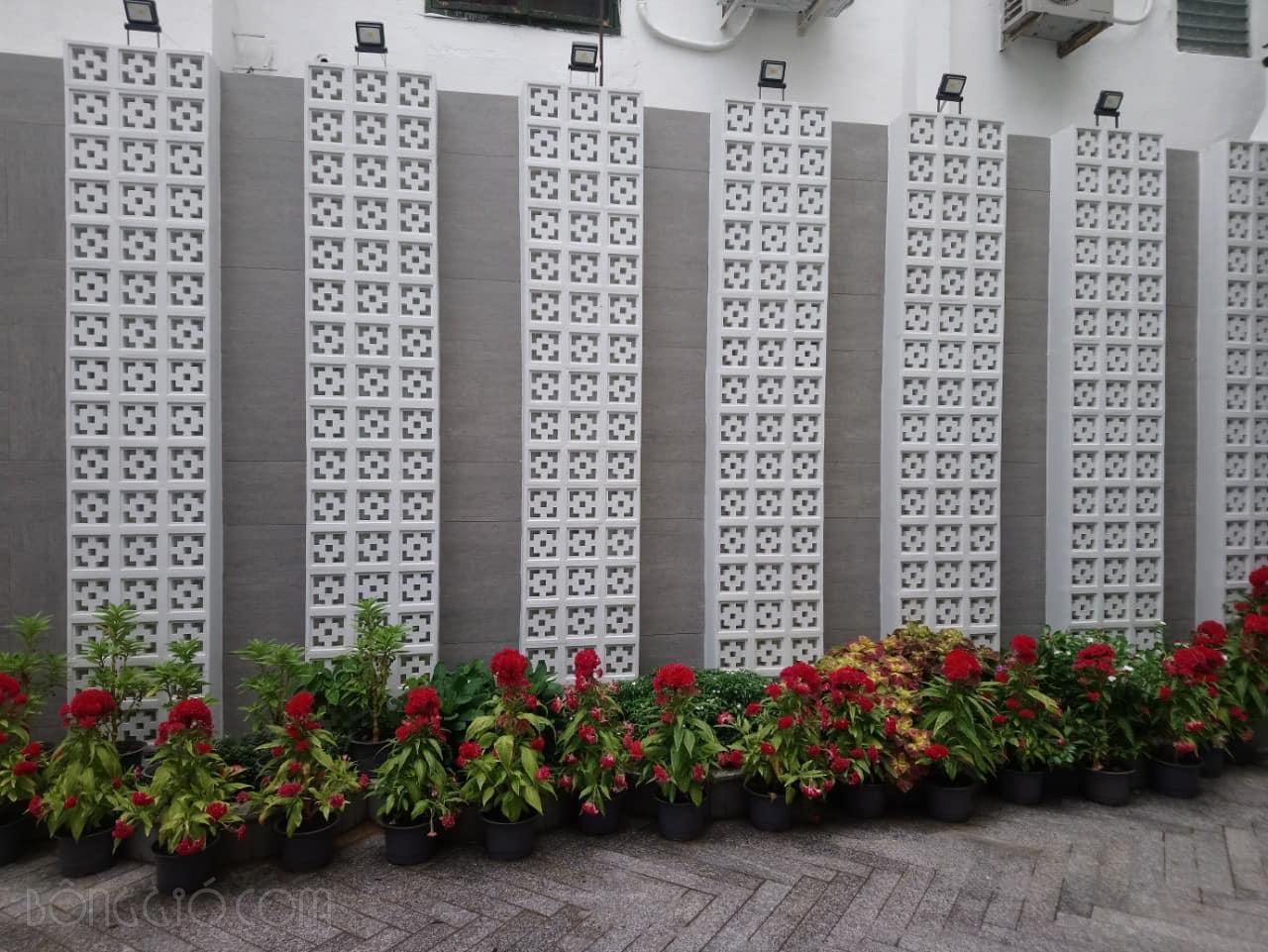 Phối Gạch Bông Gió - Ý Tưởng Hay Nào Phù Hợp Với Không Gian Nhà Bạn? 65 Phối Gạch Bông Gió - Ý Tưởng Hay Nào Phù Hợp Với Không Gian Nhà Bạn?