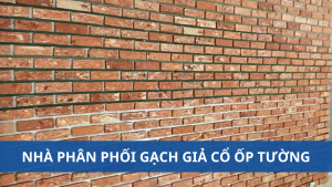 nha phan phoi gach gia co op tuong