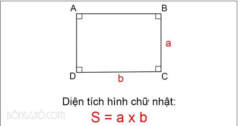 Hướng Dẫn Cách Tính M2 Phòng Chính Xác Nhất 25 Cách tính diện tích phòng hình chữ nhật