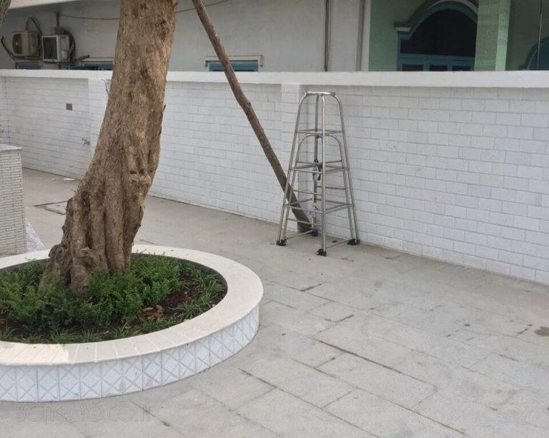 Đá băm trắng giả cổ 10×20 ốp tường trang trí CTS-DOT-TN-1 15 Đá băm trắng giả cổ 10×20 ốp tường trang trí CTS-DOT-TN-1