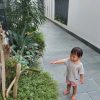 Đá băm xanh thanh hóa 30×60 CTS-DLS-3 6 Đá băm xanh thanh hóa 30×60 CTS-DLS-3