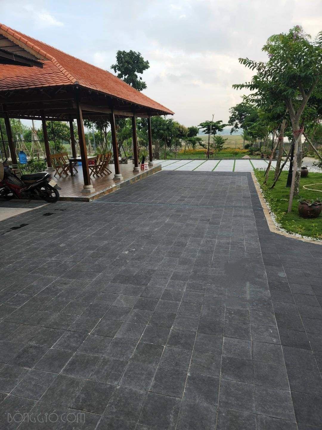 Đá bazan đen khò lửa 15×15 CTS-DLS-9 14 Đá bazan đen khò lửa 15×15 CTS-DLS-9