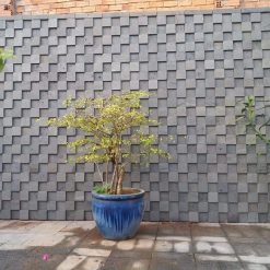 Đá ghép 3D tổ ong trang trí TP01 CTS-DOT-TN-100