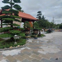 Đá lát sân đỏ bình định khò CTS-DLS-37