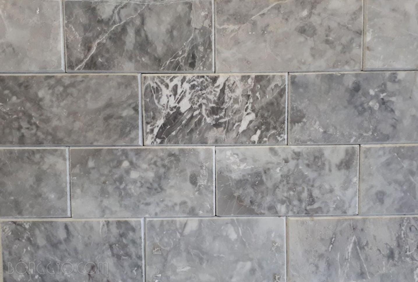 Đá mài bóng bông mai ốp tường 10×20 CTS-DOT-TN-111 10 Đá mài bóng bông mai ốp tường 10×20 CTS-DOT-TN-111