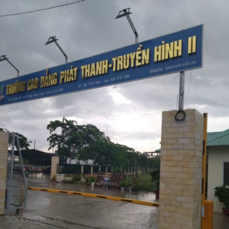 Đá mài bóng vàng 10×20 trang trí CTS-DOT-TN-119 15 Đá mài bóng vàng 10×20 trang trí CTS-DOT-119