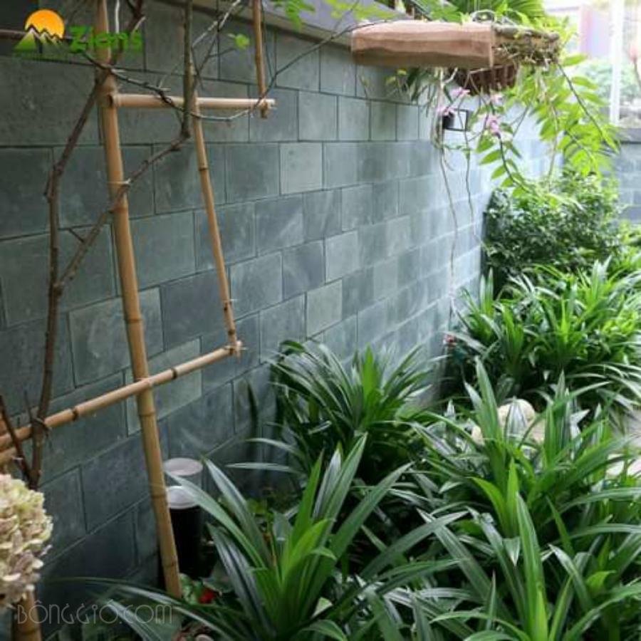 Đá mài bóng xanh rêu 10×20 ốp tường trang trí CTS-DOT-TN-47 14 Đá mài bóng xanh rêu 10×20 ốp tường trang trí CTS-DOT-TN-47