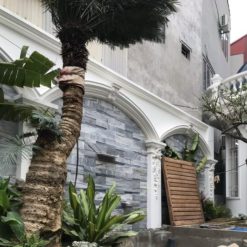 Đá sọc dưa 3D ốp tường trang trí CTS-DOT-TN-65