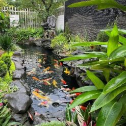 Đá suối quy cách ốp tường CTS-DOT-TN-67