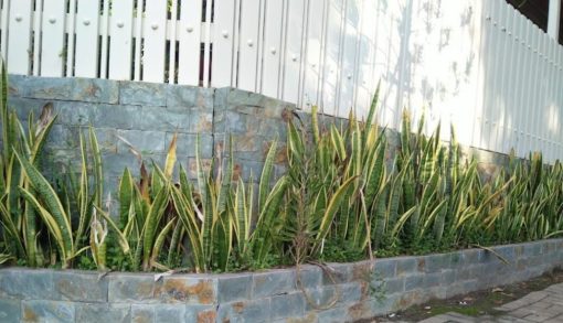 Đá xanh hải dương rỉ sét ốp tường trang trí CTS-DOT-NK-12