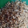 Sỏi biển trang trí lọc nước CTS-SSV-1