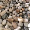 Sỏi trắng ngà trang trí CTS-SSV-6