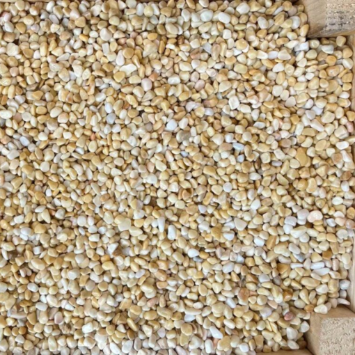Sỏi vàng vò trang trí lọc nước CTS-SSV-12