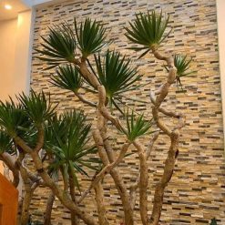 Đá ghép ba màu 10×50 trang trí CTS-DOT-TN-102