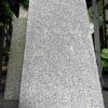 Đá tím khánh hòa khò lát sân trang trí 30×60 CTS-DLS-127