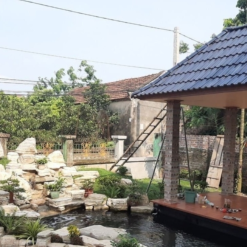 Đá tự nhiên làm hồ cá koi CTS-DPT-2