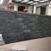Đá bóc lồi xanh rêu 15x30 CTS-DOT-DB-10 17 Đá bóc lồi xanh rêu 15x30 CTS-DOT-DB-10