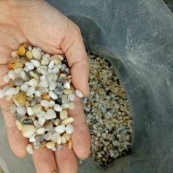Sỏi biển trang trí và lọc nước CTS-SSV-19