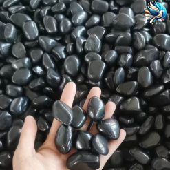 Sỏi đen bóng trang trí CTS-SSV-31