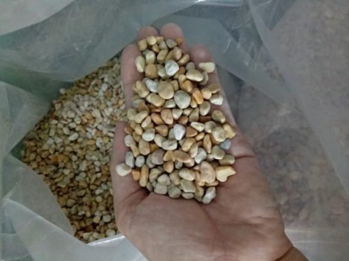 Sỏi vàng vò trang trí CTS-SSV-29