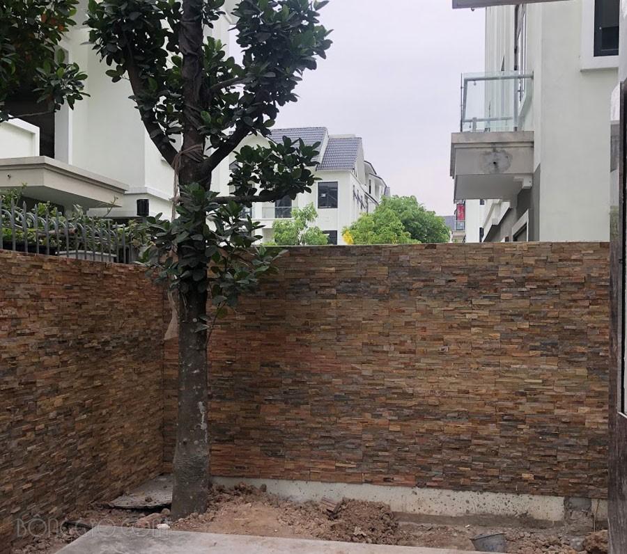Đá ghép slate vàng Đà Nẵng CTS-DOT-DG-08 32 Đá ghép slate vàng Đà Nẵng CTS-DOT-DG-08