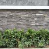 Đá ghép slate đen 10x50 CTS-DOT-DG-03 8 Đá ghép slate đen 10x50 CTS-DOT-DG-03