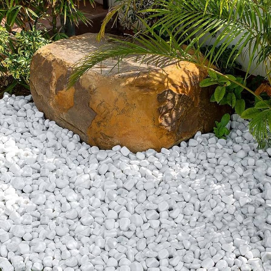 Sỏi trắng rải trang trí sân vườn đẹp Sỏi trắng rải trang trí sân vườn đẹp