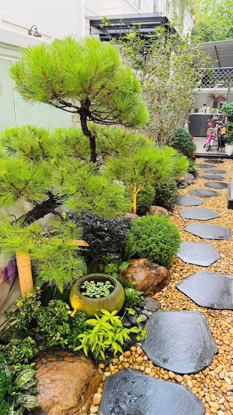 Sỏi vàng trang trí sân vườn đẹp Sỏi vàng trang trí sân vườn đẹp