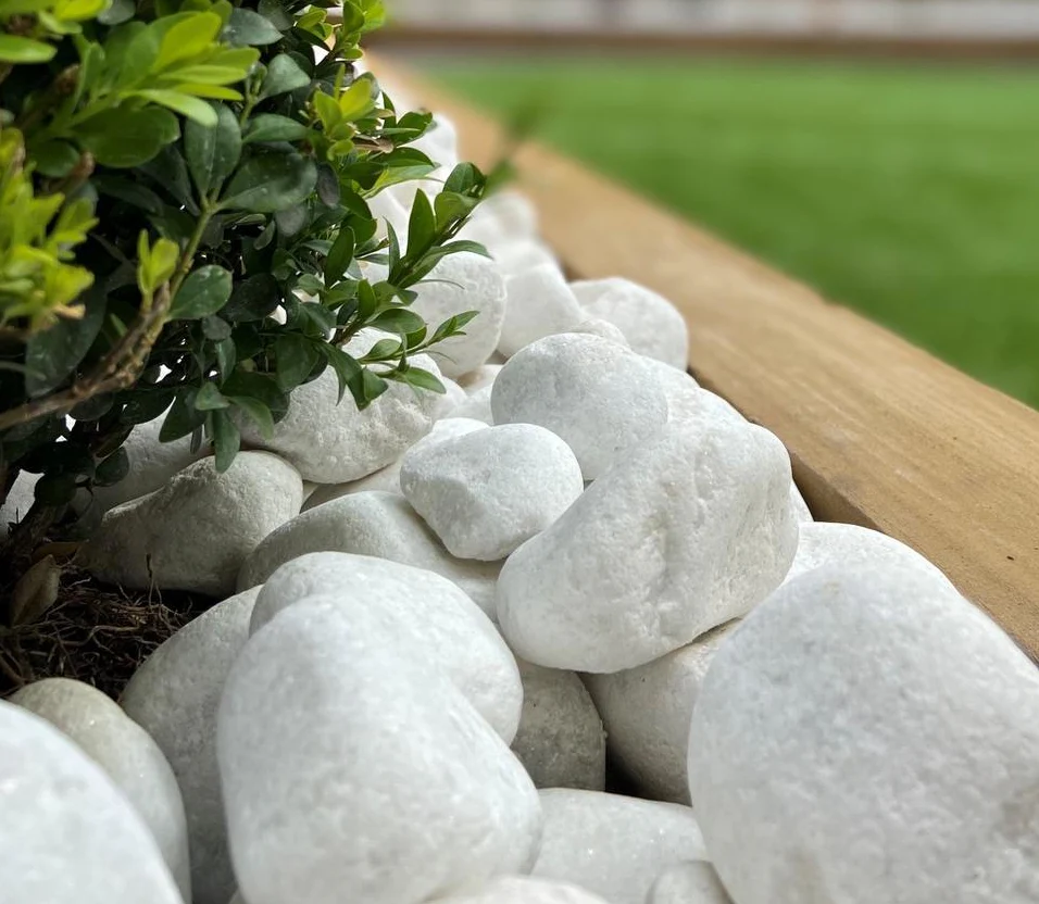 Sỏi trắng trang trí bồn hoa sân vườn Sỏi trắng trang trí bồn hoa sân vườn