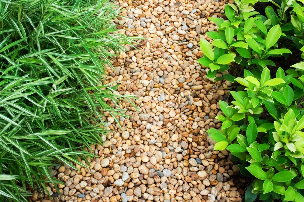Sỏi vàng trang trí sân vườn đẹp Sỏi vàng trang trí sân vườn đẹp